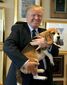 trump_westminster_dog_show_12952.jpg