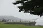 pebble_beach_golf_45578.jpg