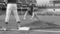 spring_training_art_of_the_steal_baseball_18243.jpg