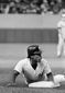 spring_training_art_of_the_steal_baseball_76440.jpg