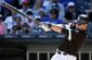 tigers_preview_baseball_36553.jpg