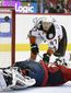 aptopix_ducks_capitals_hockey_19236.jpg