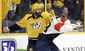 flames_predators_hockey_02387.jpg