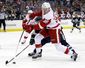 red_wings_blue_jackets_hockey_15618.jpg