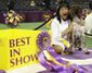 dog_show_things_to_know_46542.jpg