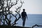 pebble_beach_golf_14553.jpg