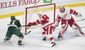 red_wings_wild_hockey_07969.jpg