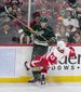 red_wings_wild_hockey_70489.jpg