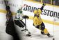 stars_predators_hockey_31230.jpg