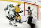 stars_predators_hockey_78829.jpg