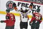 ducks_wild_hockey_21518.jpg