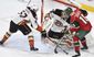 ducks_wild_hockey_22863.jpg