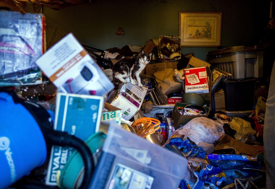 A cat sits on a box at a home on Grand Blanc Road in Gaines Township. Mich., Monday, Feb. 13, 2017. Gaines Township Police and Fire personnel discovered a hoarding situation involving approximately 30 to 70 cats at the house. Animal Control was notified, and is expected to respond to the scene Tuesday morning. (Jake May/The Flint Journal-MLive.com via AP)