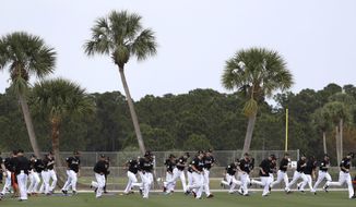 Miami Marlins players stretch during a spring training baseball workout Tuesday, Feb. 14, 2017, in Jupiter, Fla. (AP Photo/David J. Phillip)