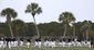 marlins_spring_baseball_91948.jpg