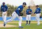 blue_jays_spring_baseball_91367.jpg