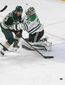 stars_wild_hockey_16543.jpg