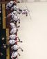 aptopix_capitals_red_wings_hockey_14816.jpg