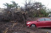 california_storms_22016.jpg