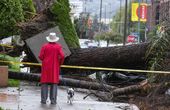 california_storms_85273.jpg