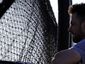 cubs_spring_baseball_11662.jpg