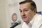 cubs_spring_baseball_21568.jpg