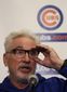 cubs_spring_baseball_25756.jpg