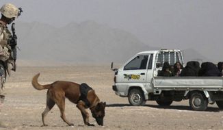 In this undated photo provided by Regis University, David Pond and his bomb-sniffing dog named Pablo are shown on patrol in Kandahar, Afghanistan. Pond and other war veterans are participating in a panel series called &amp;quot;Stories From Wartime,” to talk about their experiences with students and the public through April 2017 at Regis University in northwest Denver. (David Pond/Regis University via AP)