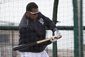 tigers_spring_baseball_95368.jpg