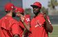 cardinals_spring_baseball_09203.jpg