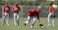 cardinals_spring_baseball_27682.jpg
