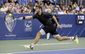 memphis_tennis_77309.jpg