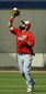 nationals_spring_baseball_59723.jpg