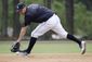 tigers_spring_baseball_80282.jpg