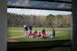 red_sox_spring_baseball_10484.jpg