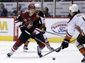 ducks_coyotes_hockey_31121.jpg