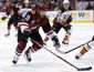 ducks_coyotes_hockey_36115.jpg