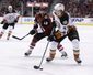 ducks_coyotes_hockey_40701.jpg