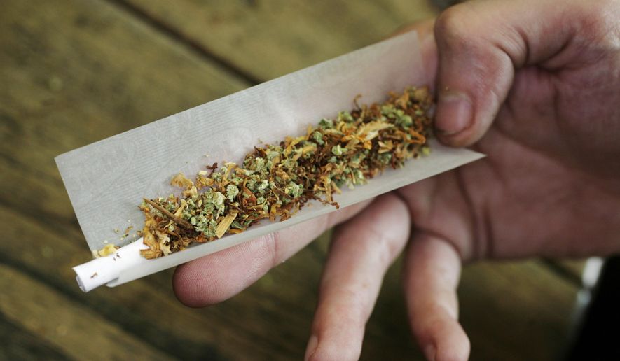 In this June 24, 2008, file image a regular user of soft drugs demonstrates how to roll a joint with tobacco and marijuana in a coffee shop in Amsterdam, Netherlands. (AP Photo/Peter Dejong) ** FILE **