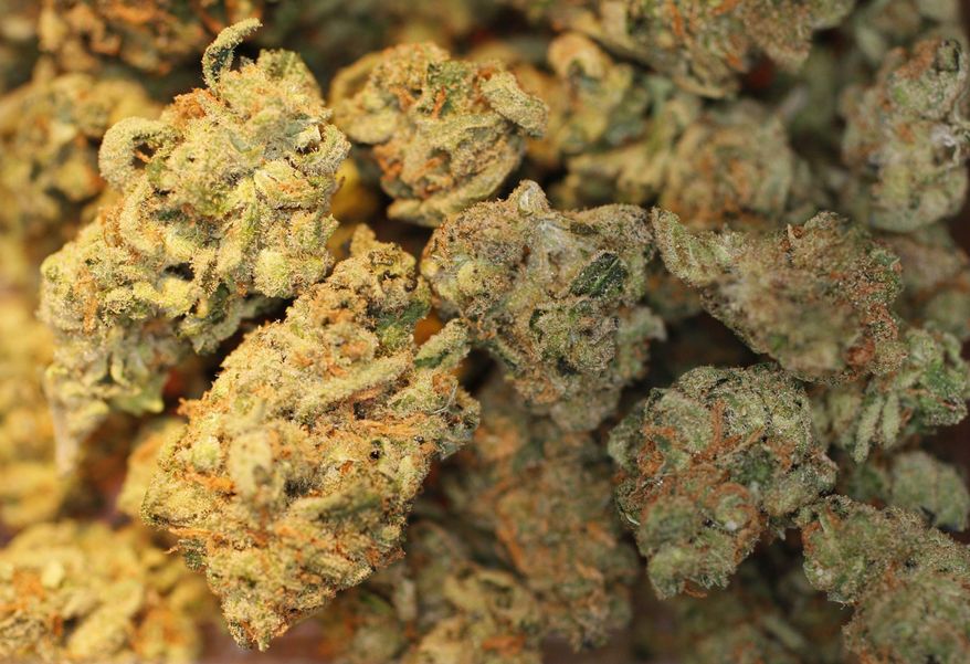 In this Sunday June 15, 2008, file image, marijuana is displayed at The Green House coffee shop in Amsterdam. (AP Photo/Peter Dejong) ** FILE **