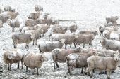 britain_weather_58988.jpg