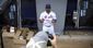 mets_spring_baseball_23481.jpg