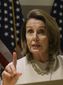 pelosi_immigration_07699.jpg