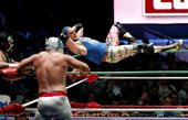 exchange_pro_wrestler_trump_37387.jpg