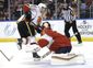 flames_panthers_hockey_87850.jpg