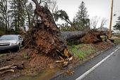 severe_weather_pennsylvania_99695.jpg