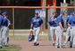 tebow_mets_baseball_70226.jpg