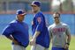 mets_wright_baseball_54102.jpg