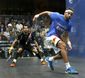 windy_city_open_squash_photo_gallery_21114.jpg
