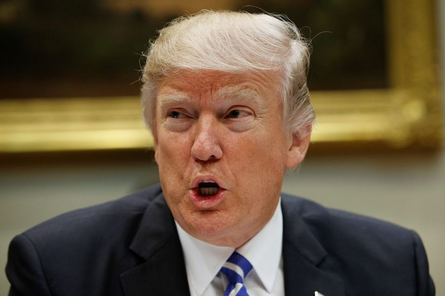 President Trump predicts "tremendous success" from the budget. (Associated Press)